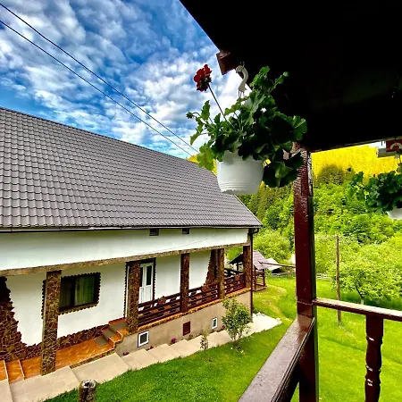Pensiunea Andra Guest house