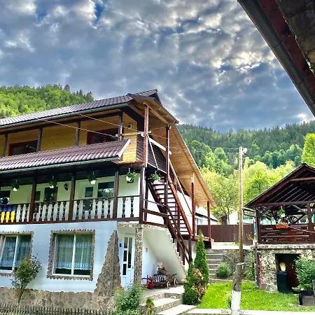 Guest house Pensiunea Andra Albac