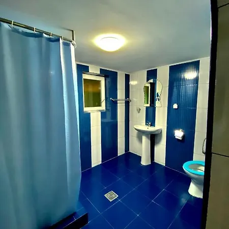 Guest house Pensiunea Andra Albac