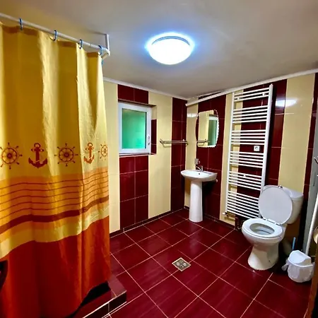 Guest house Pensiunea Andra