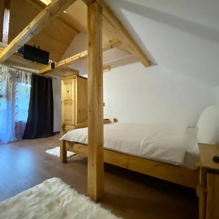 Pensiunea Andra Guest house 2*