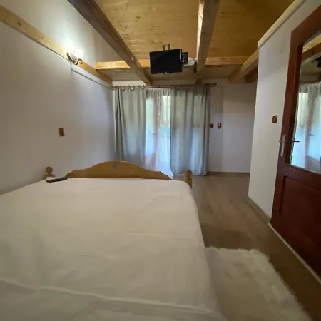 Pensiunea Andra Guest house